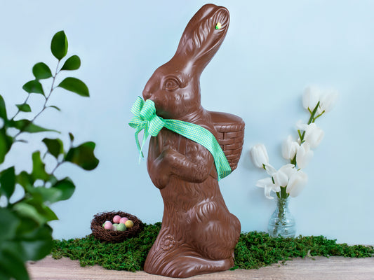 Chocolate Bunny