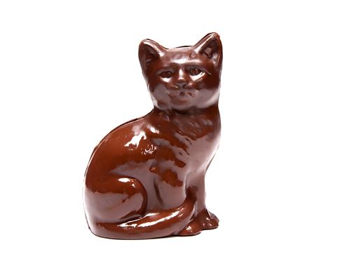 chocolate cat