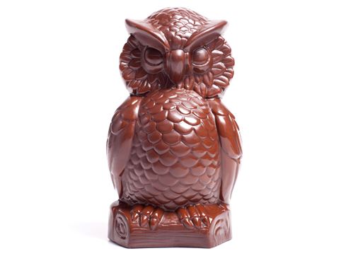 Owl (Wise & Old)